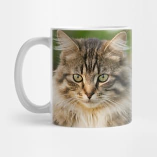 cat Mug